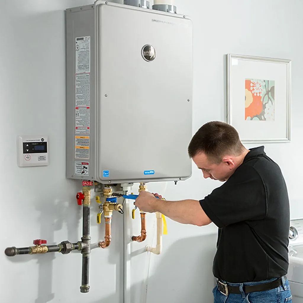 tankless water heater repair in Delmont, SD